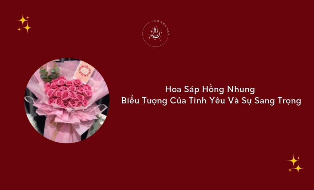 hoa sap hong nhung