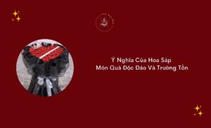y nghia cua hoa sap