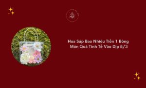 hoa sap bao nhieu tien 1 bong