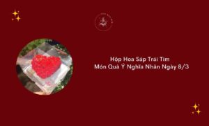 hop hoa sap hinh trai tim