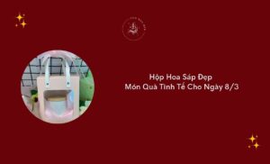 hop hoa sap dep