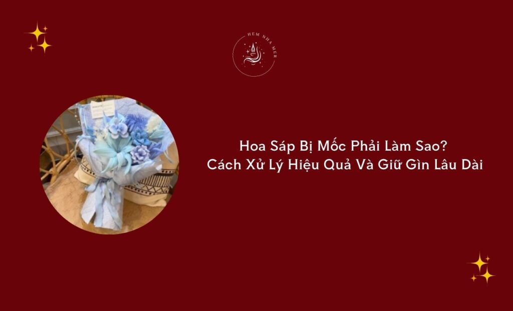 hoa sap bi moc phai lam sao