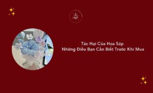 tac hai cua hao sap